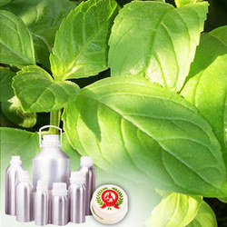 ISO Menthone
